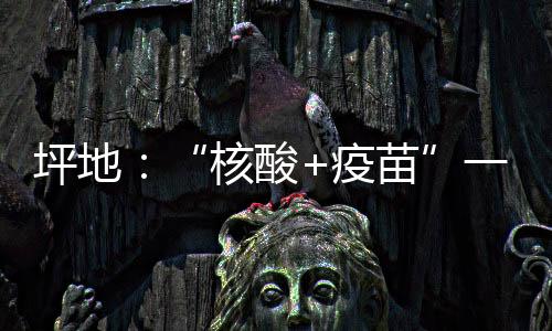 坪地:“核酸+疫苗”一站式服务 探索便民新模式